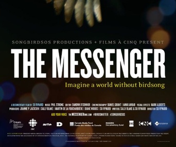Affiche du film The Messenger