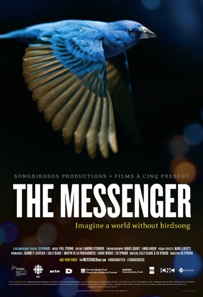 Affiche du film The Messenger