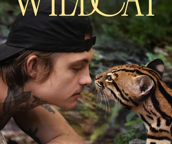 Affiche du film Wildcat