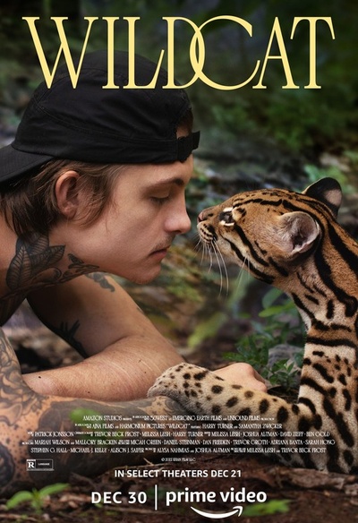 Affiche du film Wildcat