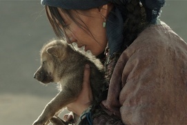 Une scène du film Wolf Totem Une scène du film Wolf Totem