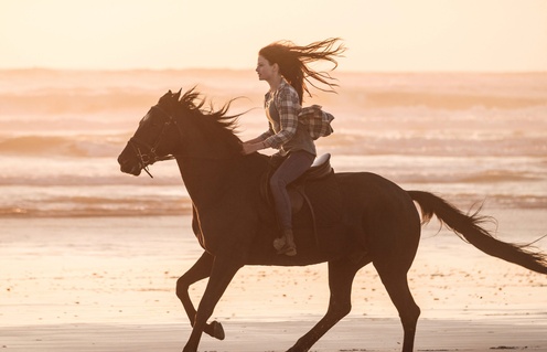Une scène du film Black Beauty