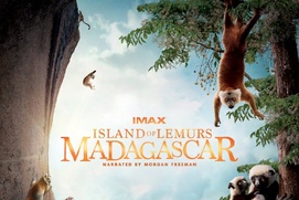 Affiche du film Island of Lemurs : Madagascar