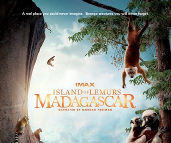 Affiche du film Island of Lemurs : Madagascar