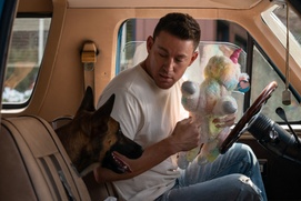 Une scène du film Dog