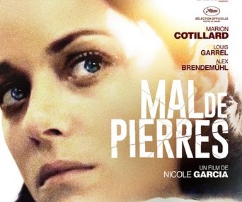 Affiche du film Mal de pierres