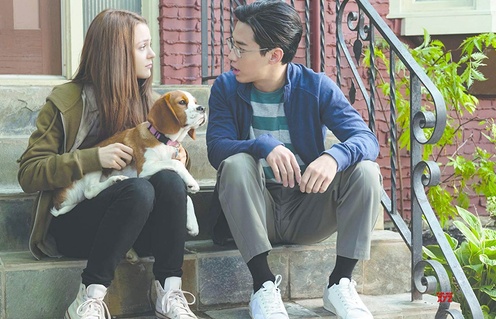 Une scène du film A Dog's Journey
