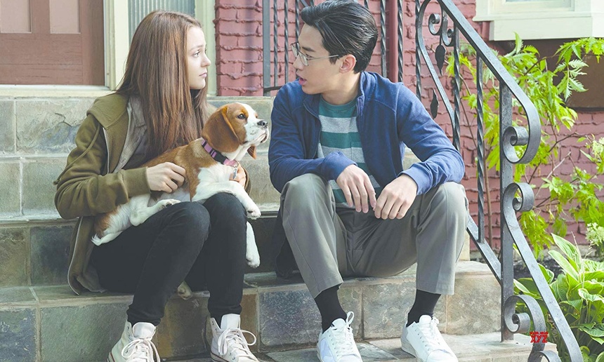 Sorties à la maison : A Dog's Journey