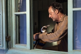 Image du film My penguin Friend