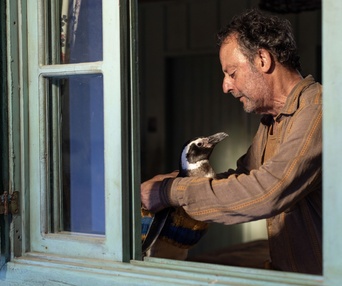 Image du film My penguin Friend