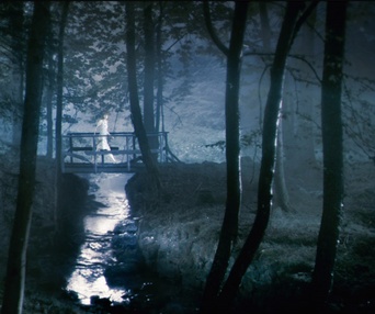 Scène du film Antichrist