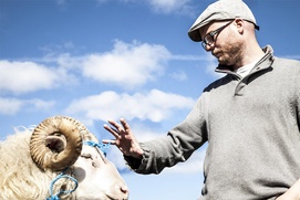 Une scène du film Rams Une scène du film Rams