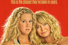 Affiche du film Snatched Affiche du film Snatched