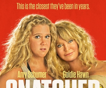 Affiche du film Snatched