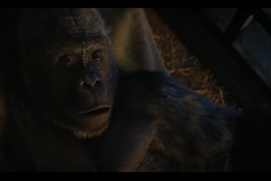 Une scène du film The One and Only Ivan Une scène du film The One and Only Ivan