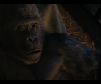 Une scène du film The One and Only Ivan