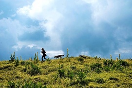 Scène du film Le renard et l'enfant