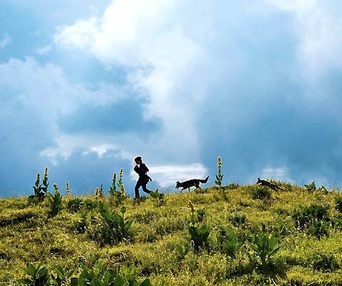 Scène du film Le renard et l'enfant
