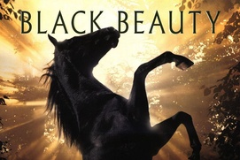 Affiche du film Black Beauty