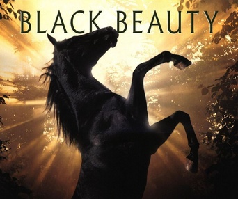 Affiche du film Black Beauty