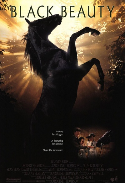 Affiche du film Black Beauty