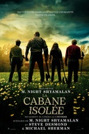 Affiche du film La cabane isolée
