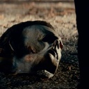 Une scène du film Halloween Kills