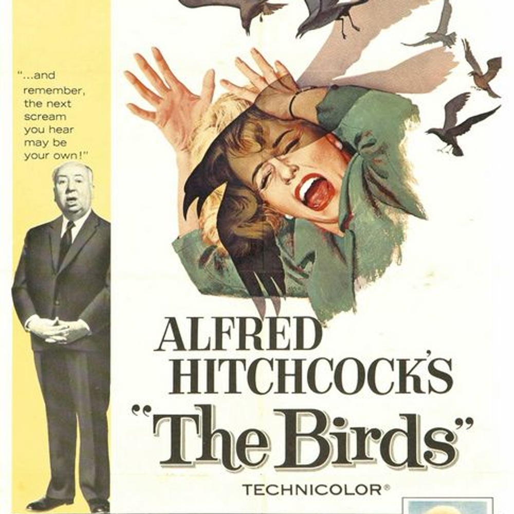 Affiche du film The Birds