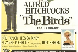 Affiche du film The Birds