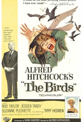 Les oiseaux