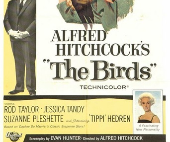 Affiche du film The Birds