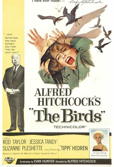 Affiche du film The Birds