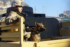 Une scène du film Megan Leavey