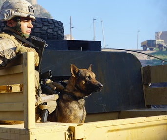 Une scène du film Megan Leavey