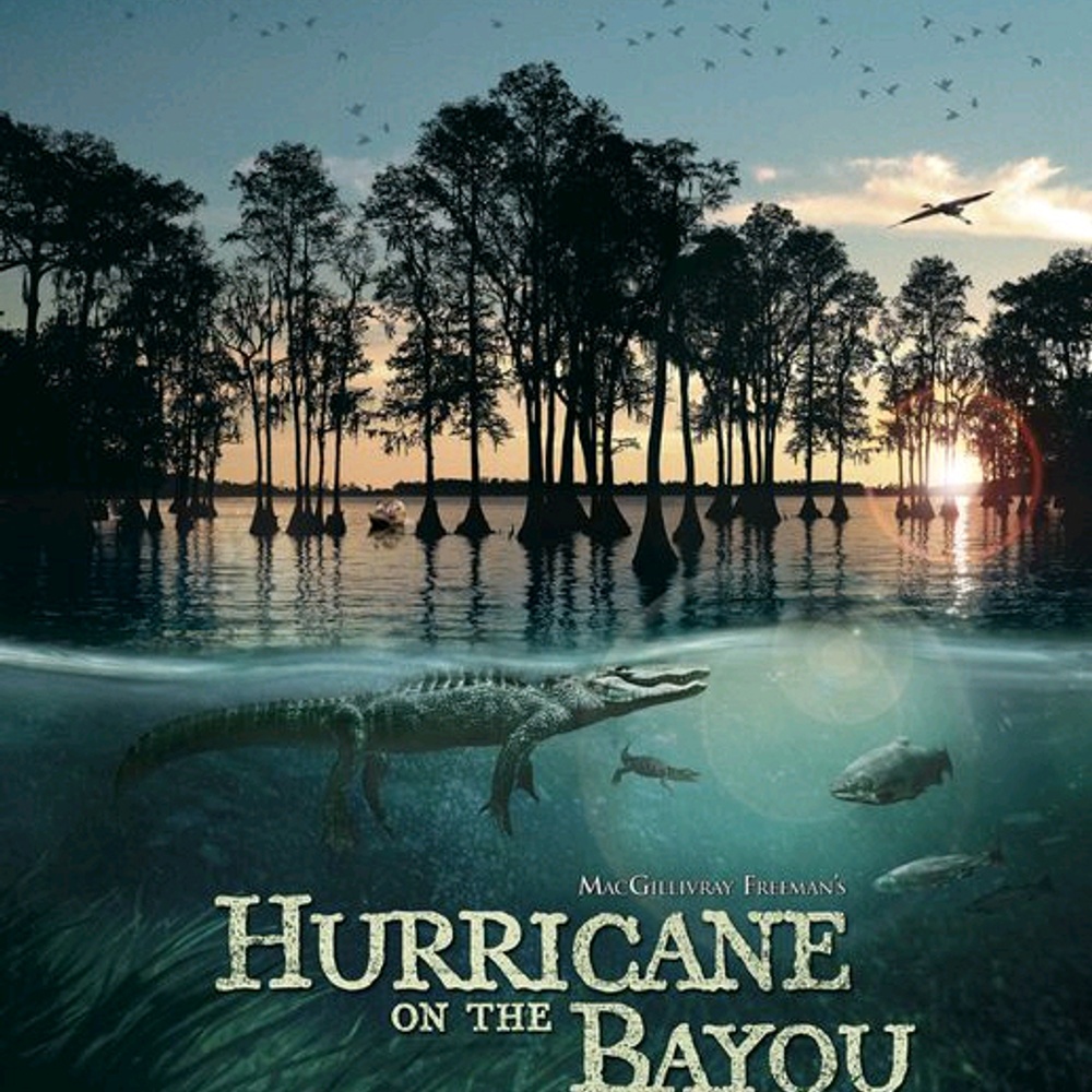 Affiche du film