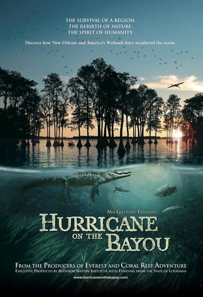 Affiche du film