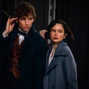 Une scène du film Fantastic Beasts and Where to Find Them