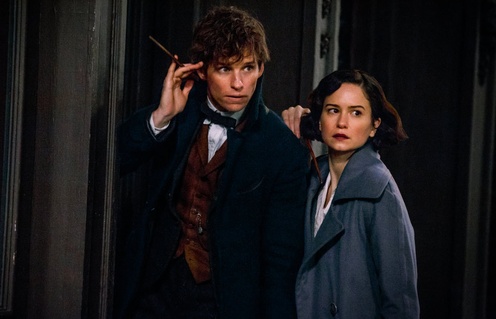 Une scène du film Fantastic Beasts and Where to Find Them