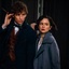 Une scène du film Fantastic Beasts and Where to Find Them