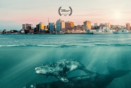 Affiche du film Last of the Right Whales Affiche du film Last of the Right Whales