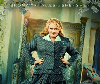 Affiche du film WICKED