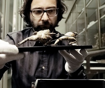 Une scène du film The Great Museum