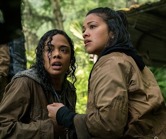 Une scène du film Annihilation