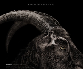Affiche du film The Witch
