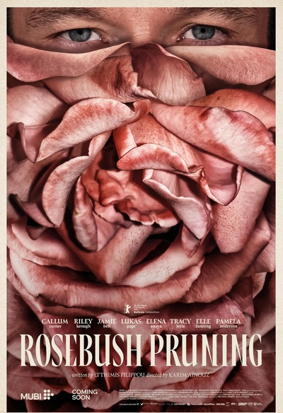 Rosebush Pruning