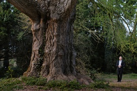 Image du film L'amie silencieuse