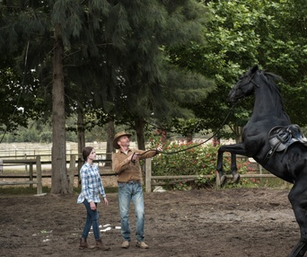 Une scène du film Black Beauty