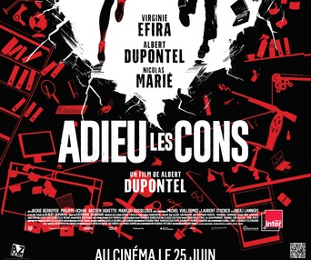 Affiche du film Adieu les cons