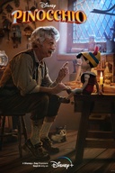 Affiche du film Pinocchio