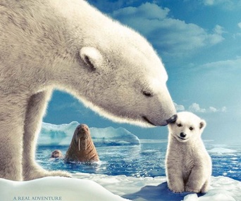 Affiche du film Artic Tale